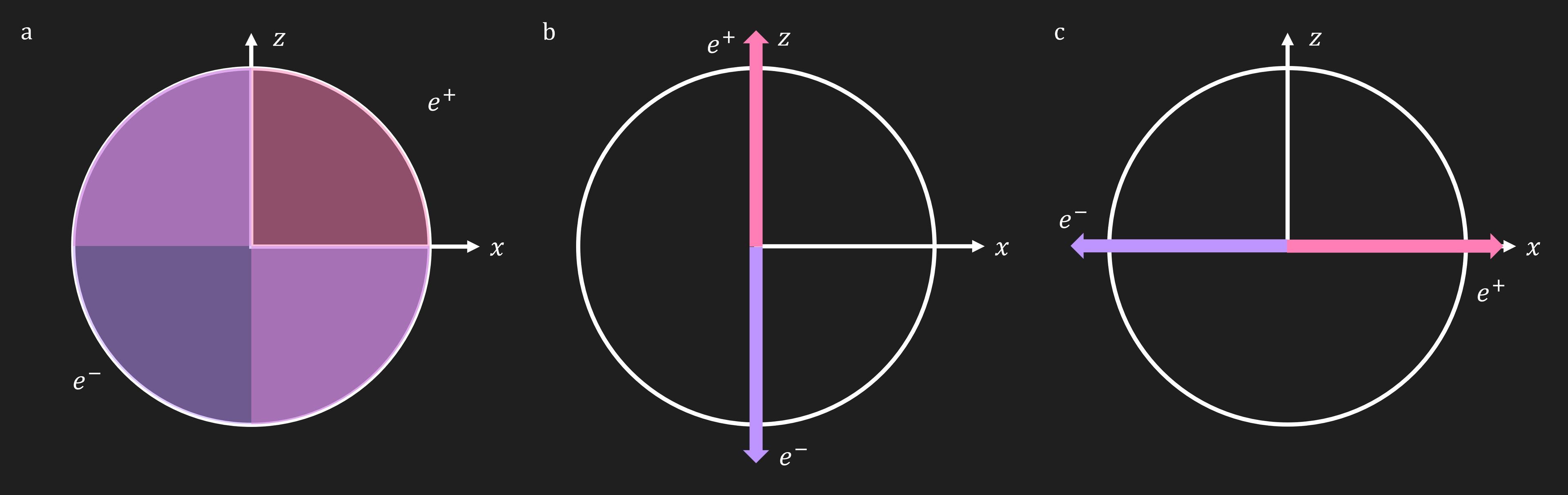 A diagram showing a blur of possible directions for a spin vector, followed by the same outcomes of measurement as in previous images.