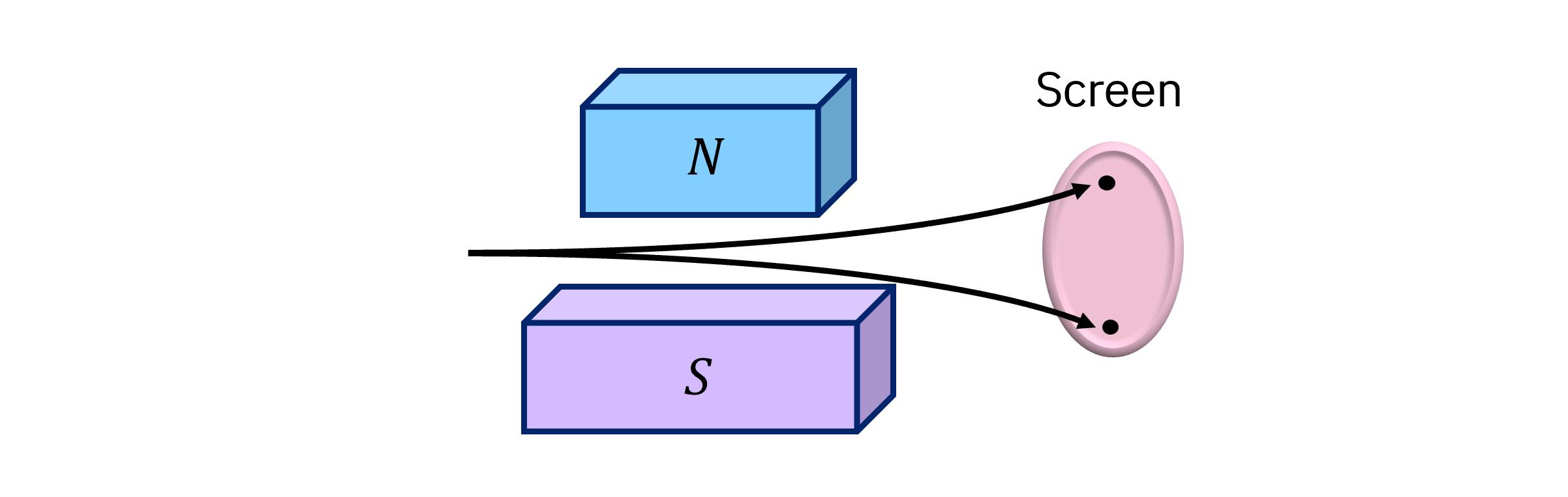 Diagram of a beam of particles being deflected either up or down, striking one of two dots on a screen, with no particles in between these two maxima